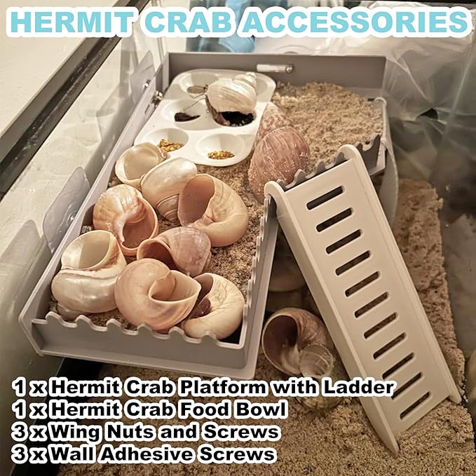 Hermit Crab Accessories - Platform with Ladder and Food Dish, Hermit Crab Climbing Toys, Habitat Supplies and Tank Accessories for Reptiles, Hamsters, Geckos, Small Lizards