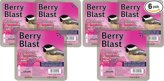 Heath Outdoor Products Berry Blast Suet Cakes Sample Pack,Contains Suet Cakes,Try It,Your Birds Will Love it,for Woodpeckers,Cardinals,Siskins,Sparrows,Finchs&Many More Wild Bird Species,(Pack of 6)