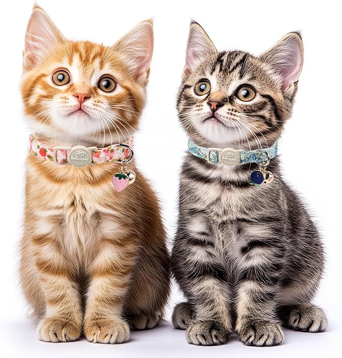 2 Pack Spring Summer Cat Collars - Cute Breakaway Cat Collar with Bell, Bluberry and Strawberry Pendant, Adjustable Kitten Collars for Girl Cats, Pastel Floral Fruit