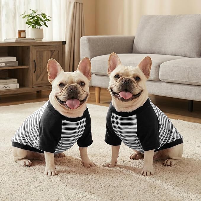 Pistha Dog Tshirt Striped Shirts for Dogs Clothes Stretchy Puppy T-Shirts with Metal Buckle for Small Medium Dog Boys Girls (Black, Small)