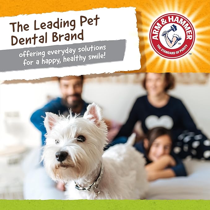 Arm & Hammer Nubbies Duality Bone Dog Dental Chew Toy, Green Apple Flavor, Baking Soda Infused, Nubby Grooves Reduce Plaque and Tartar, No Stuffing, for Moderate Chewers