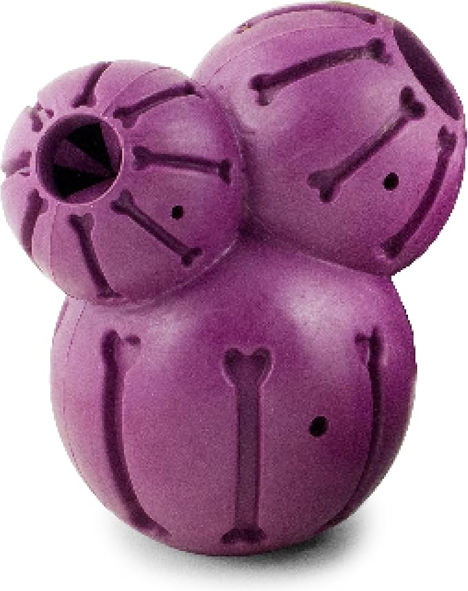 PetSafe Busy Buddy Barnacle, Large