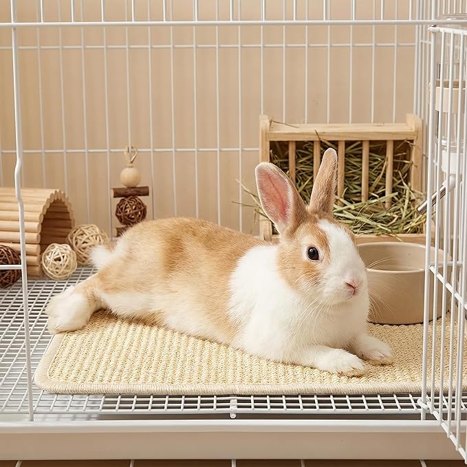 Pumtus 4 Pcs Rabbit Scratch Mat, 16 x 12 in Natural Sisal Bunny Scratching Pad, Rabbit Claws Teeth Care Resting Rug, Animal Chew Toy Forage Cage Accessories for Grinding, Biting, Sleeping, Nesting