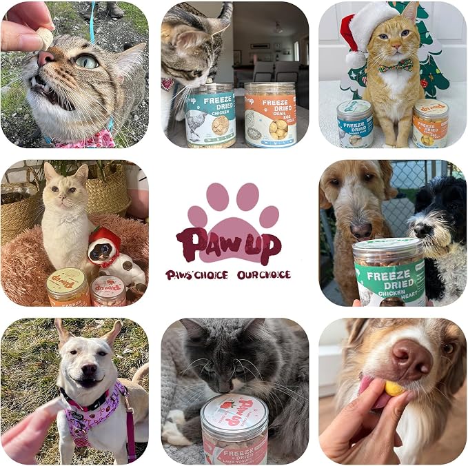 PAWUP Freeze Dried Duck Treats for Cats Dogs, Rawhide Free Freeze-Dried Raw Food Topper, High Protein, Gluten&Grain Free, 4.6oz