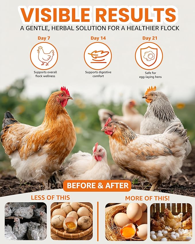 Natural Chicken Powder Chili Mix, 1 lb Herbal Feed Topper for Laying Hens, Egg-Safe Poultry, Daily Wellness Feed Topper, Garlic Pumpkin Seed Wormwood, Marigold Turmeric for Golden Yolks