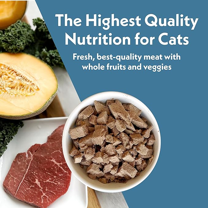 Fresh Is Best Beef Freeze Dried Cat Food – Raw Cat Food for Kittens & Adult Felines – High-Protein Freeze Dried Beef in Resealable Zipper Bag – Made in the USA – 8 oz