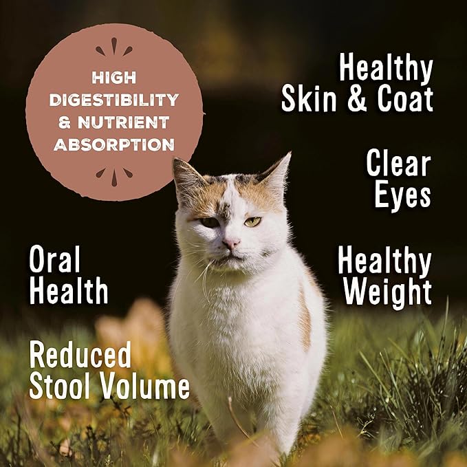 Primal Freeze Dried Raw Cat Food Nuggets Beef & Salmon, Complete & Balanced Meal or Topper, Premium, Healthy, Grain Free, High Protein Raw Cat Food with Probiotics (5.5 oz)