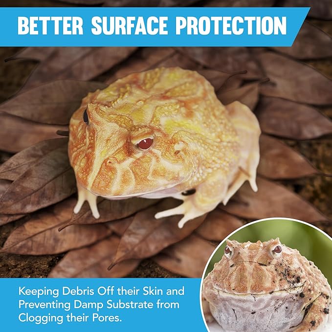 JOR Mahogany Leaves, Vivarium Leaf Litter for Frogs, Mixing with Substrate, Maintains Humidity and pH Levels, Creates Natural Bioactive Habitat, Additional Food (2” Small, 50 Pack, Mahogany Leaf)