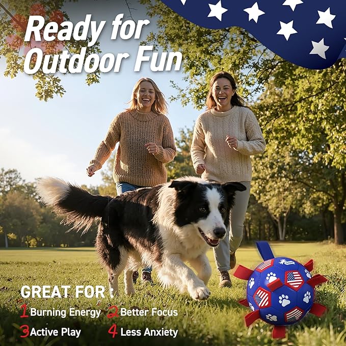 QDAN Dog Toys, Soccer Ball with Straps, Durable Dog Balls for Small Medium, Beach Pool Dog Water Toy (6 Inch)