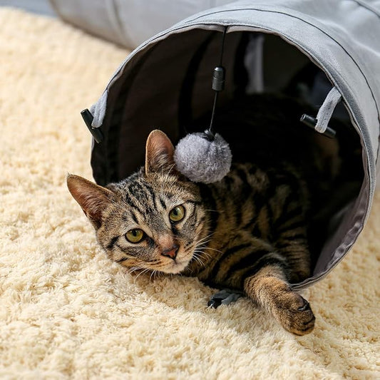 PAWZ Road Collapsible Cat Tunnel, 3 Way Cat Play Tube 10.5” in Diameter | Collapsible Cat Play Tunnel with Spacious Play Tubes, Multiple Peek Holes & Interactive Hanging Ball for Indoor Cats