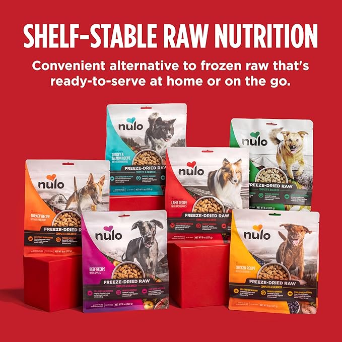 Nulo Freeze-Dried Raw Duck Recipe with Pears Complete and Balanced Dry Dog Food Kibble, 18 Ounce Bag