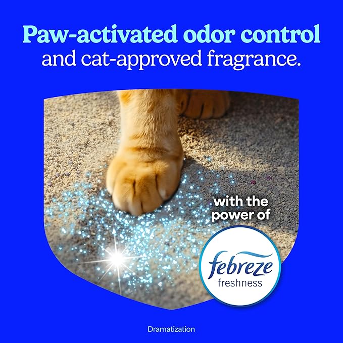 Fresh Step Clean Paws Multi Cat Clumping Litter with Febreze Freshness, 22 lb (Package May Vary)
