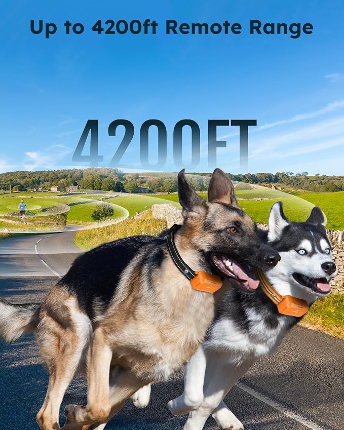 Dog Shock Collar 2 Dogs (10-120Lbs) - 4200FT Dog Training Collars with Remote Control, IPX8 Waterproof Rechargeable E-Collars for Large Medium Small Dog