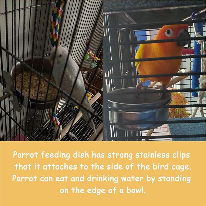 kathson Stainless Steel Bowls for Birds,4 Pcs Parrot Feeder Dish Cups,Bird Cage Water Food Bowl Coop Cup with Clamp Holder for Parrots Cockatiel Budgies Parakeet Lovebird(M)