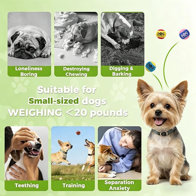 INSUM Squeaky Balls for Dogs - 24 Pack Small Squeaky Tennis Balls for Dogs, 2 Inch Eye-Catching Color Toy Balls, Built-in Squeaker, Idea for Doggie Birthday Gift