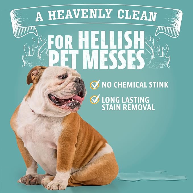 ANGRY ORANGE Pet Stain & Odor Remover Kit for Dog Urine - Enzyme Cleaner - Citrus - 32 oz + UV Flashlight