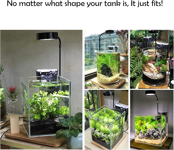 Full Spectrum LED Light with Bamboo Board, Fits Aquarium Nano Tank, Betta Fish Tank, Potted Plants, Succulents, Miniature Landscape – 7W