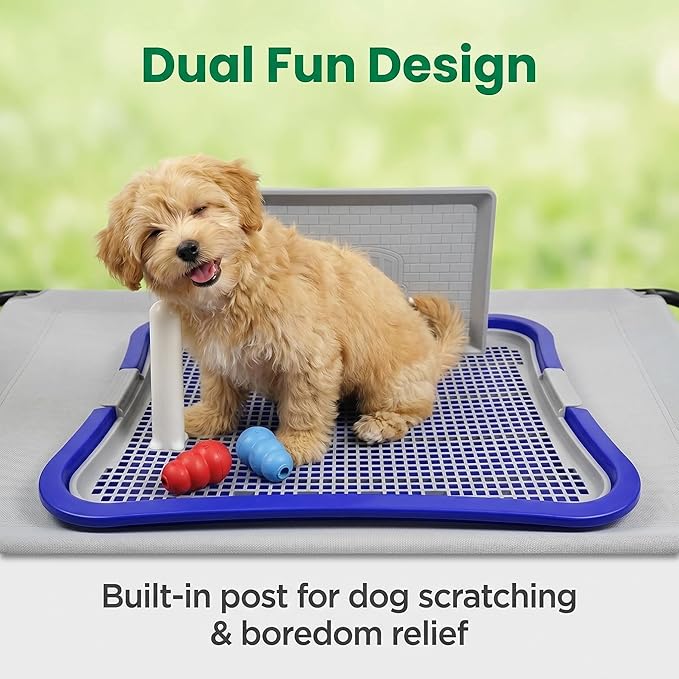 Dog Pee Pad Holder, Indoor Dog Potty Tray with Splash Guard & Center Post, Potty for Small Dogs, Waterproof and Easy to Disassembly and Cleaning Dog Toilet, 23.62"X19.69" (Blue)