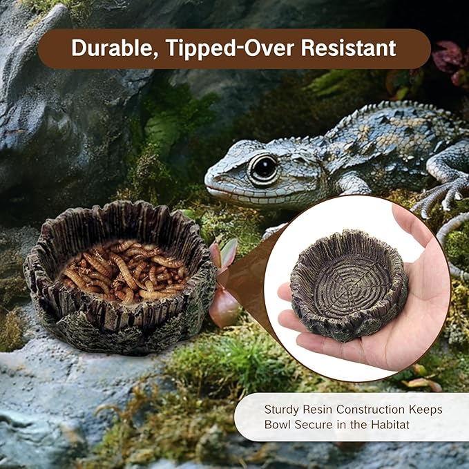 1 Pack Small Reptile Food Dish Resin Rock Worm Water Bowl for Bearded Dragon Leopard Gecko Lizard Hermit Crab Snail Frog Toad Anti Turnover Feeding Accessories Set