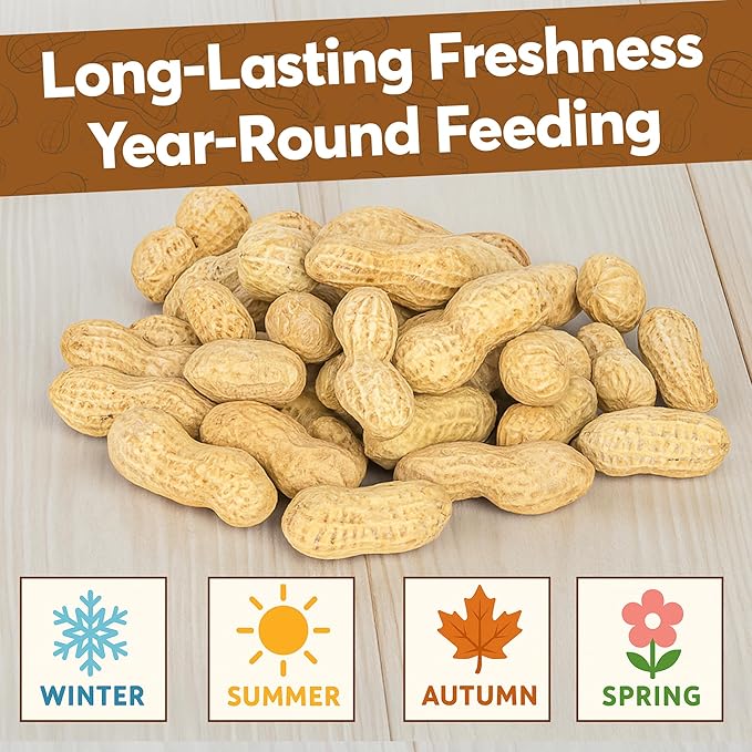2 LB - Raw Peanuts For Squirrels, Raw In Shell Peanuts For Birds and Wildlife- Squirrel Food, Wild Bird Seed - Grown in The USA