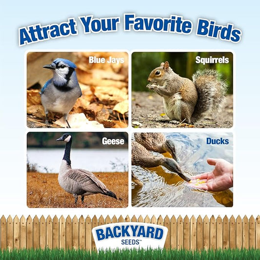 CountryMax Backyard Seeds Whole Corn 10 lbs - High-Energy Animal Feed for Chickens, Squirrels, Deer & Wild Birds, Ground Feeding, High Protein