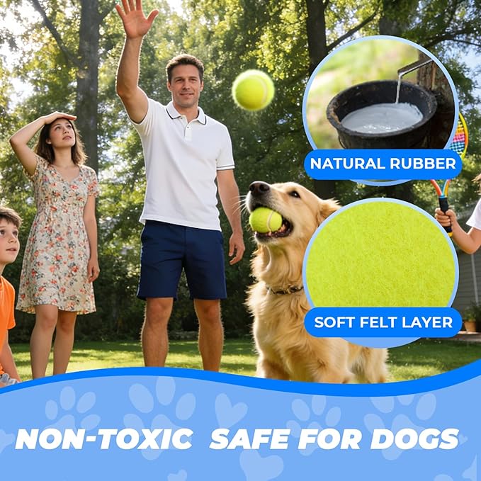 INSUM Squeaky Dog Balls - Squeaky Tennis Balls for Dogs, Yellow | Medium - 2.5'', 20Pack