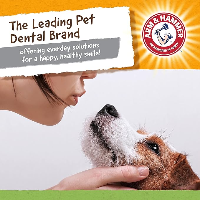 Arm & Hammer Nubbies Denta-Saurus T-Rex Dog Dental Chew Toy, Mint Flavor, for Moderate Chewers, Nylon, Reduces Plaque and Tartar Without Brushing, Baking Soda Infused