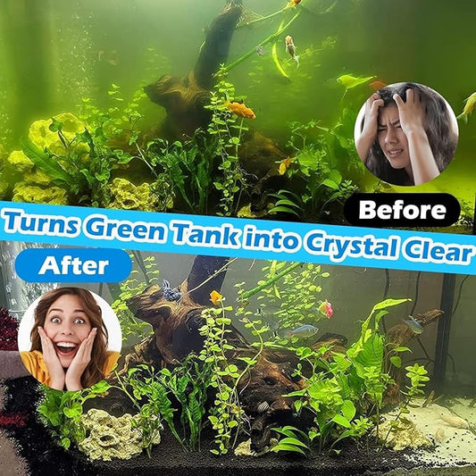 Aquarium Large 100-300 Gallon Fish Tank Filter U-V Dual Spout 600GPH Silent Canister Internal Filter Cold Plunge Tub Koi Pond Filter, Green Clean Machine Deodorization for Saltwater Freshwater