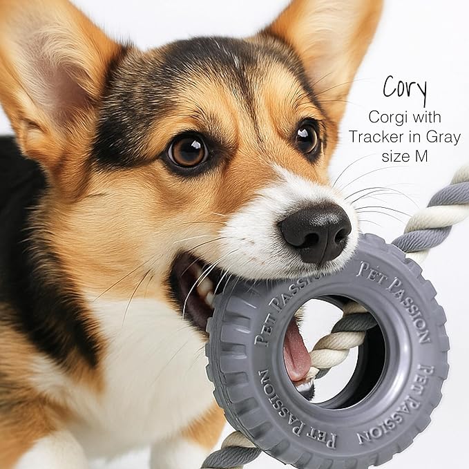 Pet Passion Natural Rubber Tire and Organic Cotton Rope Pull and Chew Dog Toy for All Pet Breeds, Almond Milk, Medium