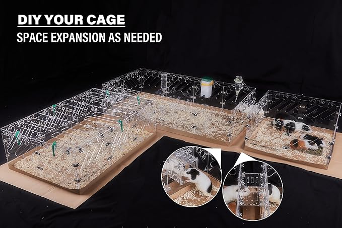 Acrylic Guinea Pig Cages - 2x2ft Small Animal Cage | DIY Extendable | Easy-to-Clean Disposable Bottom (Without Lid)