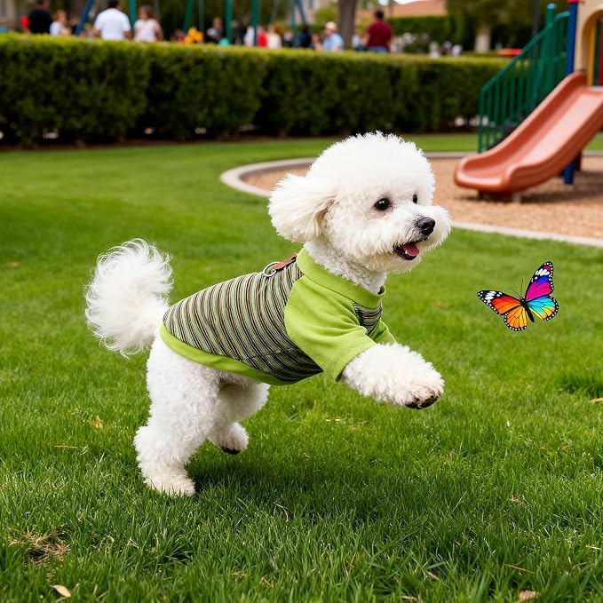 Pistha Dog Tshirt Striped Shirts for Dogs Clothes Stretchy Puppy T-Shirts with Metal Buckle for Small Medium Dog Boys Girls (Green, XXX-Large)