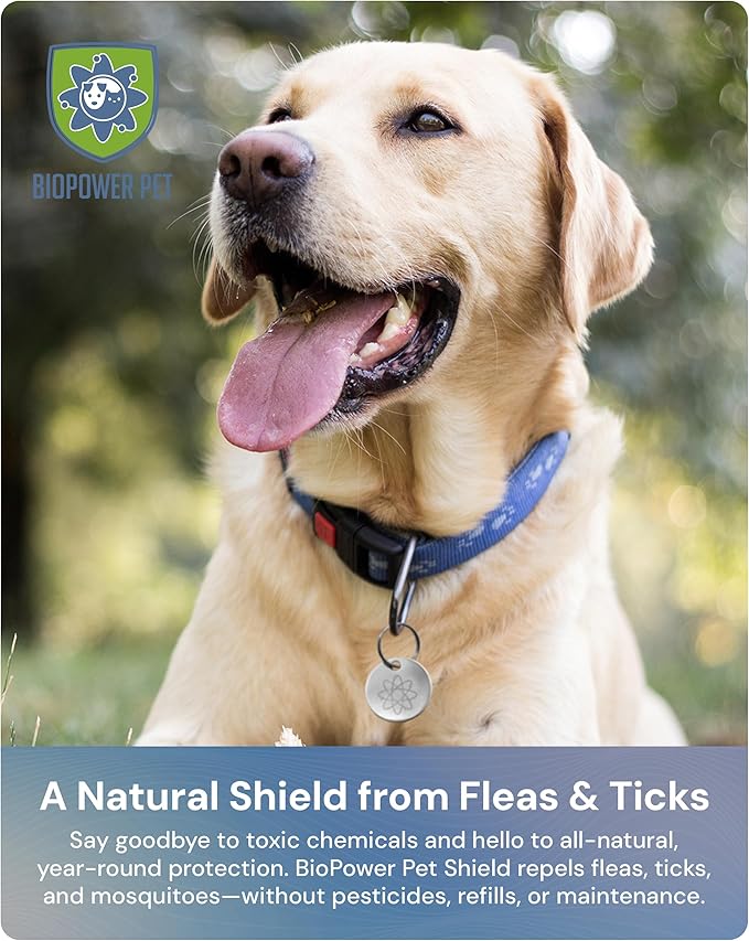 Shield Tag - Natural Flea & Tick Repellent Collar Tag for Dogs & Cats - Waterproof, Lasts 12 Months - Stainless Steel Pendant - Regular Tag (1Pack)