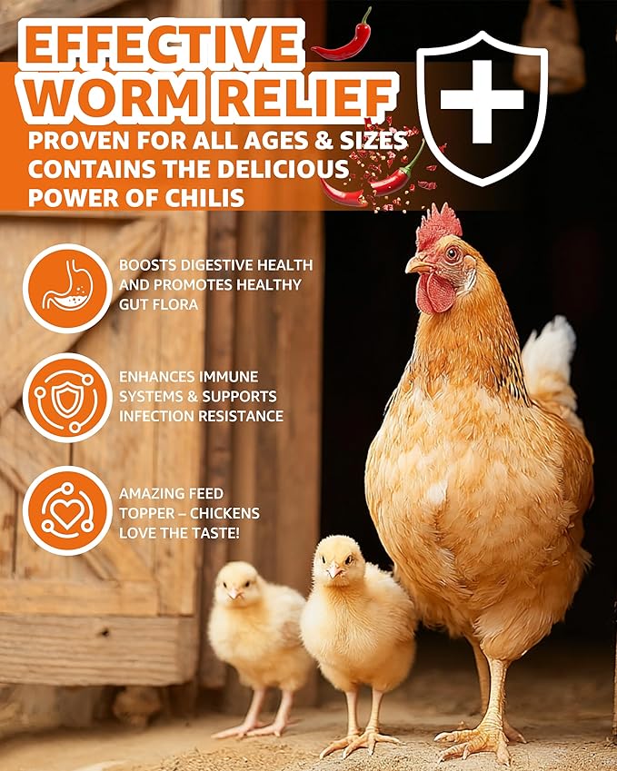 Natural Chicken Powder Chili Mix, 1 lb Herbal Feed Topper for Laying Hens, Egg-Safe Poultry, Daily Wellness Feed Topper, Garlic Pumpkin Seed Wormwood, Marigold Turmeric for Golden Yolks