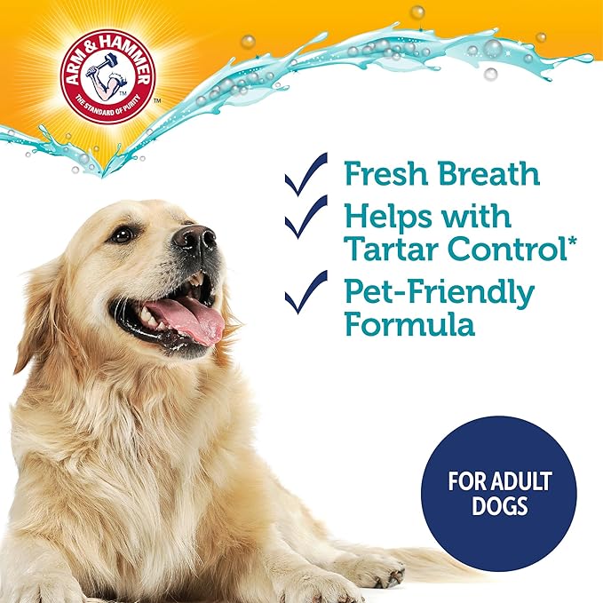 ARM & HAMMER Dog Dental Kit - Enzymatic Dog Toothpaste 2.5 oz Chicken Flavor - Dog Toothbrush & Finger Brush - Tartar & Gum Cleaning with Baking Soda Enhanced Formula - Complete Dental Care for Dogs