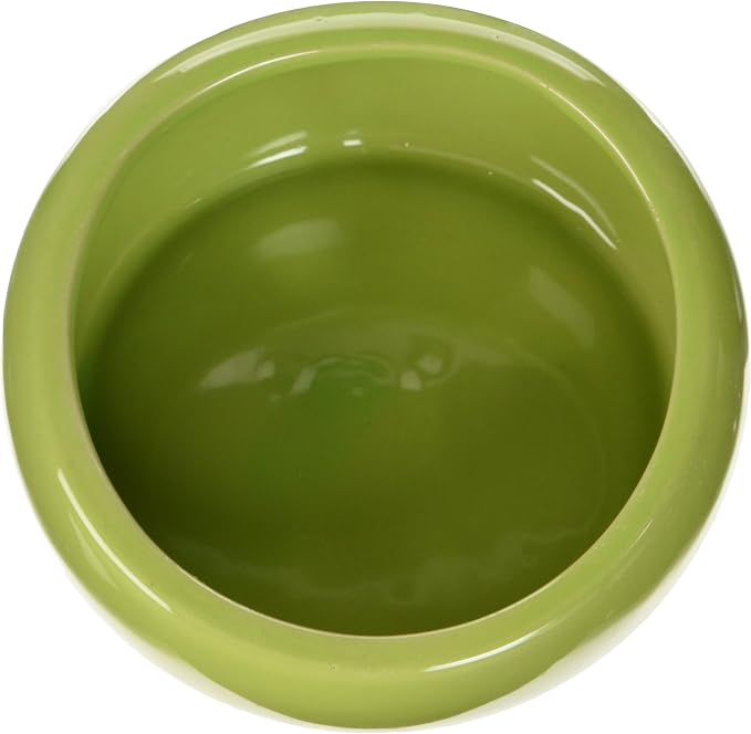 Living World Ergonomic Food Dish, for Small Animals, Green, Large, 14.78 oz, 61681