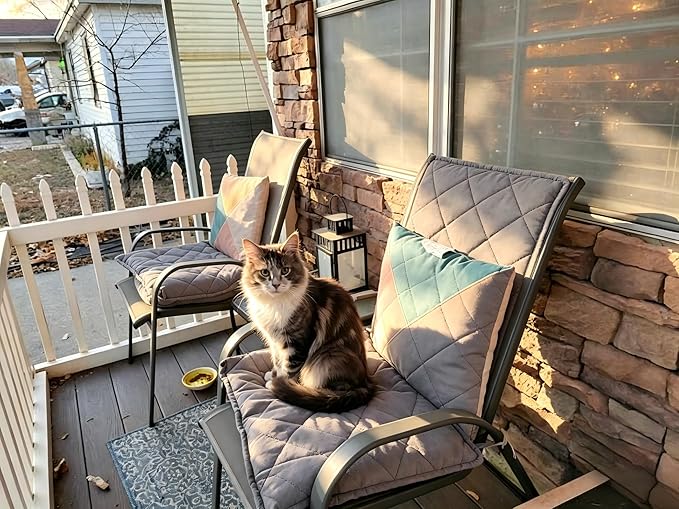 Mora Pets Self Heating Cat Bed Self Warming Cat Pad Thick Thermal Pet Bed Mat 24 x 18 Inches with Removable Cover Machine Washable Ultra Warm Mat for Outdoor Indoor Cats and Small Dogs