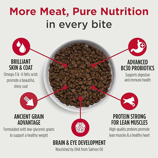 Nulo Frontrunner Puppy Food - High-Protein Chicken, Oats & Turkey Recipe Kibble, Natural Dry Dog Food with DHA, Ancient Grains, Probiotics, Taurine, Omega 3 for Small, Medium & Large Breeds, 25lb Bag