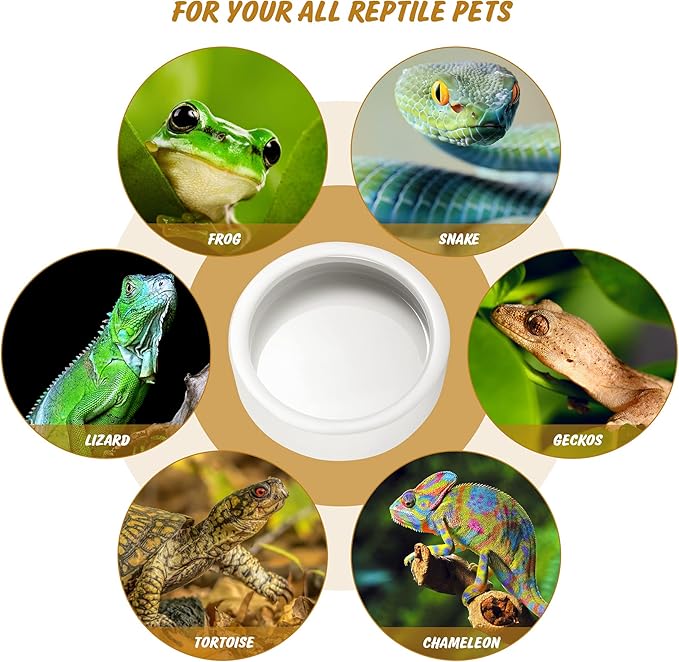 Reptile Food Dish Bowl 2Pcs Lizard Gecko Worm Water Bowls Small (2.75in) | Anti-escape Ceramic Mealworms Bowls for Leopard Bearded Dragon Chameleon Hermit Crab Dubia Cricket Feeding, Superworm Feeder