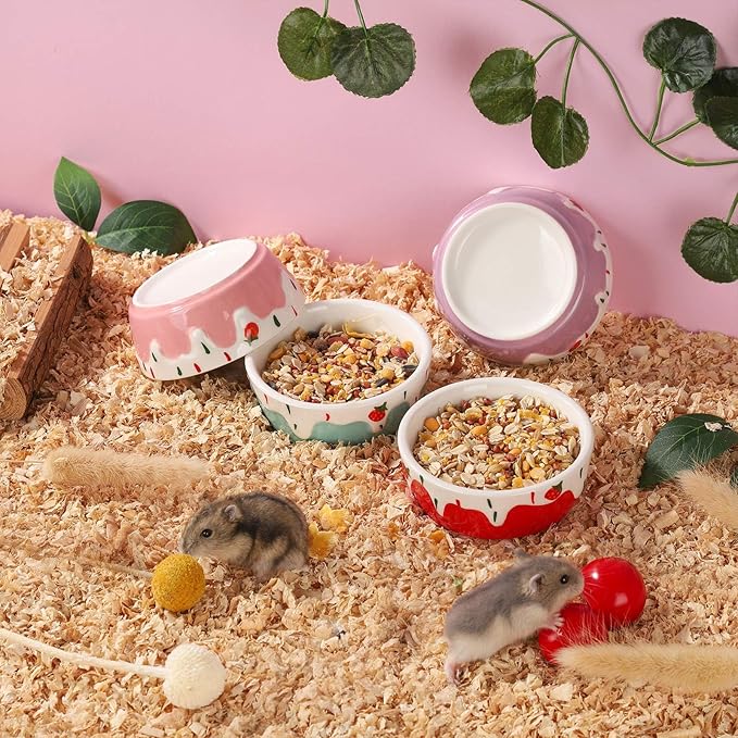 VanEnjoy 2 Pack Hamster Food Bowl Small Ceramic Water Food Bowl for Cage Small Animal Bowls for Hamster Guinea Pig Chinchilla Rabbit - Red and Pink
