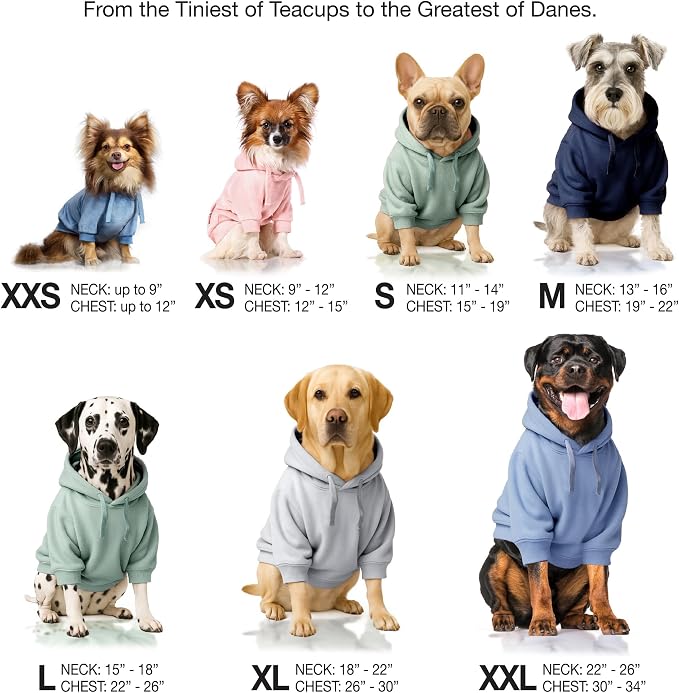 Pet Passion Cooper II Organic Cotton Velour Dog Hoodie Pet Coat for Small, Medium and Large Dogs, Coffee Color Block, Small (10-25 lbs)