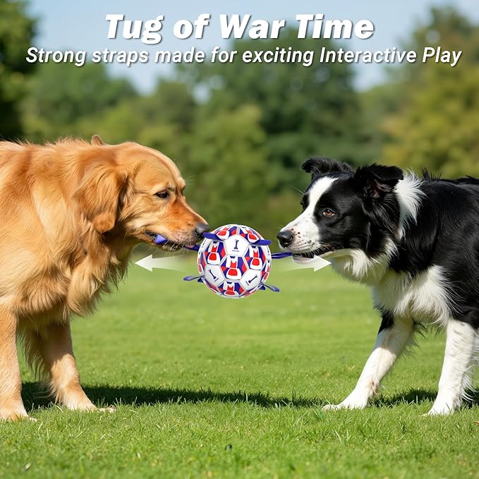 Dog Toy Balls, Dog Soccer Ball with Straps, Interactive World Cup Soccer Ball for Medium Dogs, Water Fetch Toys, Tug-of-War, Herding Ball Toys Outdoor, Dog Birthday Toy, Blue (6 Inch)