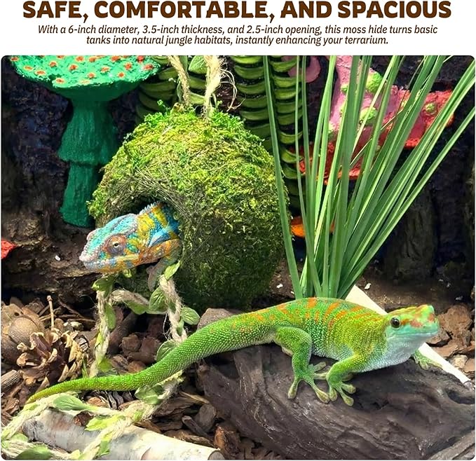 Moss Cave Hideout with Hanging Rope & Hemp Climbing Ladder – Natural Reptile Tank Decor Accessories for Crested Geckos, Chameleons, Tree Frogs, Leopard Geckos & Snakes. Terrarium & Vivarium Decor (6")