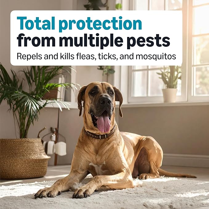 Amazon Basics Preventative Flea, Tick & Mosquito Topical Treatment for X-Large Dogs (Over 55 pounds), Kills Fleas, Long-Lasting, 6 Count, Packaging May Vary