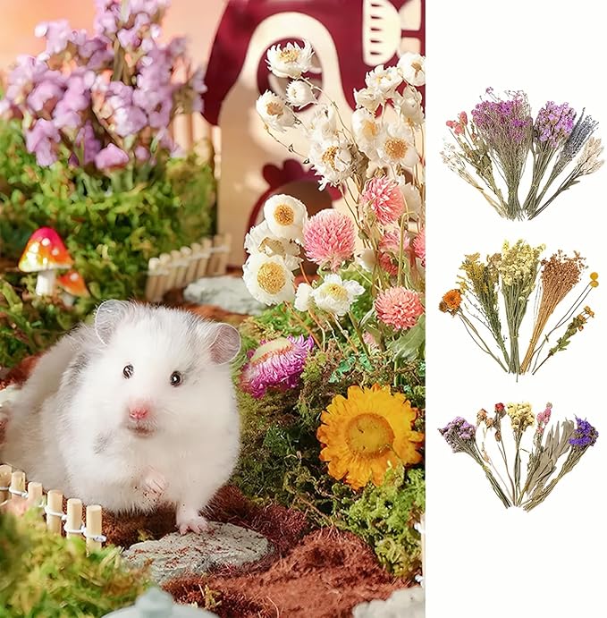 Natural Dried Flower Hamster Sprays for Hamster Cages, Decorative Floral Hamster Bedding Decors, Small Animal Houses & Habitats Hamster Cage Accessories