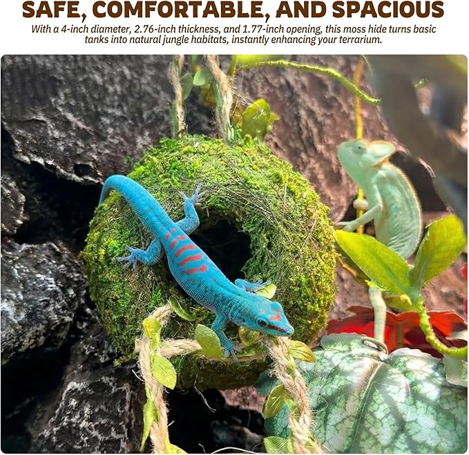 Moss Cave Hideout with Hanging Rope & Hemp Climbing Ladder – Natural Reptile Tank Decor Accessories for Crested Geckos, Chameleons, Tree Frogs, Leopard Geckos & Snakes. Terrarium & Vivarium Decor (4")