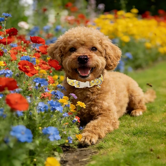 Lionet Paws Spring Dog Collar- Cute Bees Yellow Dogs Collar with Plastic Buckle and Bee Pendant,Dog Collar for Small Dogs