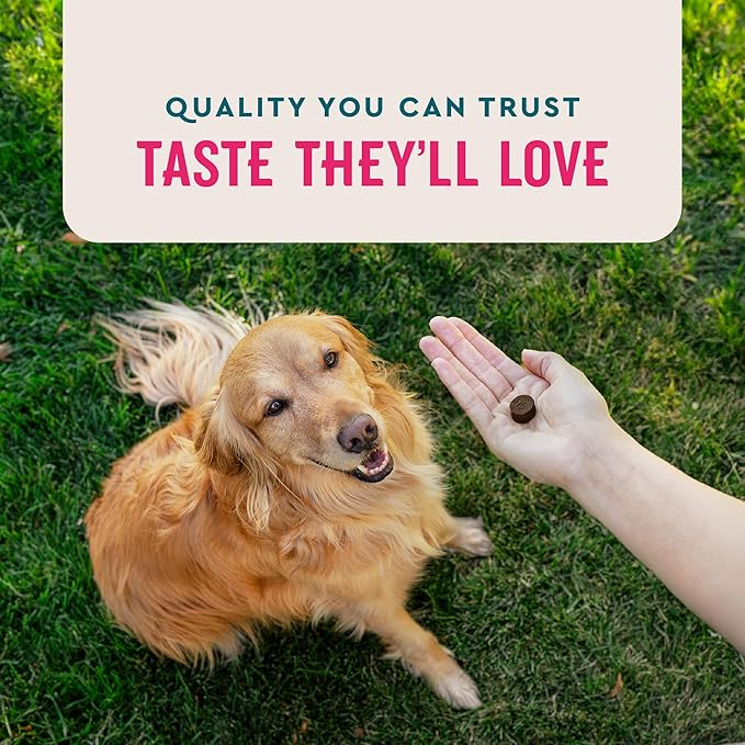 VetIQ Multivitamin Supplement for Dogs, Supports Active Brain Function, Immune System, and Digestive System, Hickory Smoke Flavored Dog Multivitamin, Made in The USA, 90 Count
