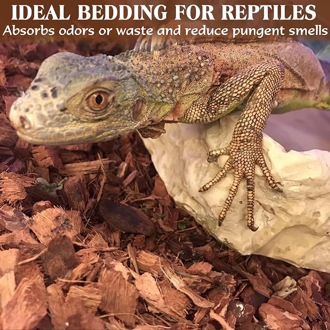 ZeeDix 10LBS Coconut Husk Chip Substrate for Reptiles, 72QT Compressed Organic Coco Coir Chips for Snake Habitat, Reptile Bedding for Ball Python, Tortoises, Geckos, Lizards Terrarium Tanks