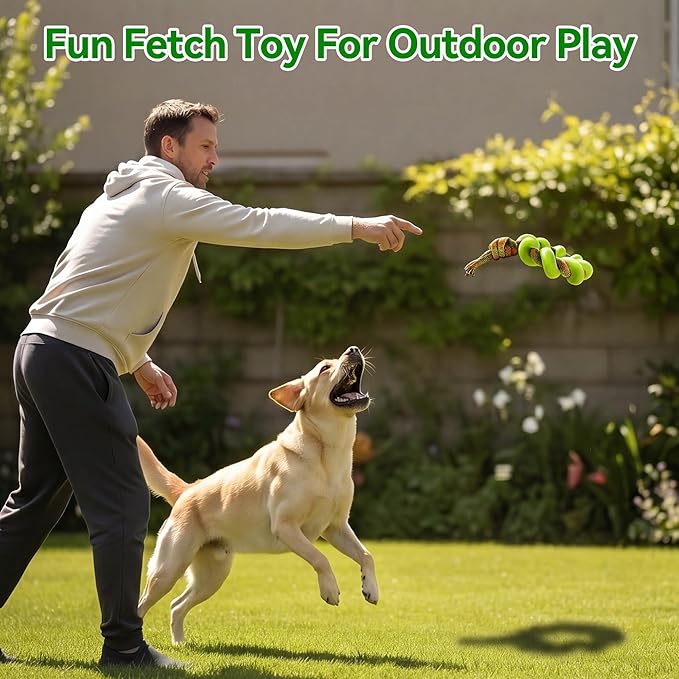 ALL FOR PAWS 6.1" Dog Ring Toy, Tug of War Dog Toy with TPR Foam & Rope, Interactive Dog Toys for Fetch, Training & Outdoor Play, Dog Toys for Small, Medium & Large Dogs