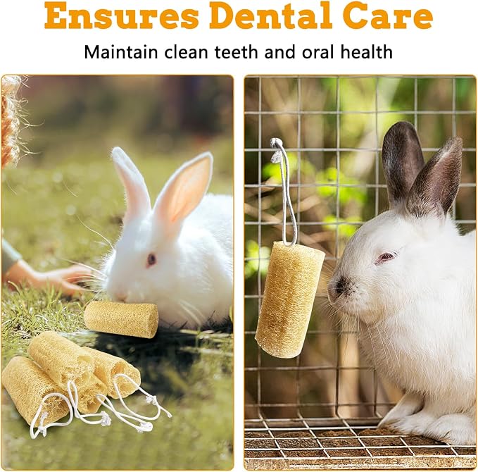 12 Pcs Rabbit Chew Toys Natural Bunny Loofah Chew Toy Chinchilla Teeth Grinding Toys Guinea Pig Fibre-Rich Treats Enrichment Bunny Accessories for Rabbits Hamster (S)